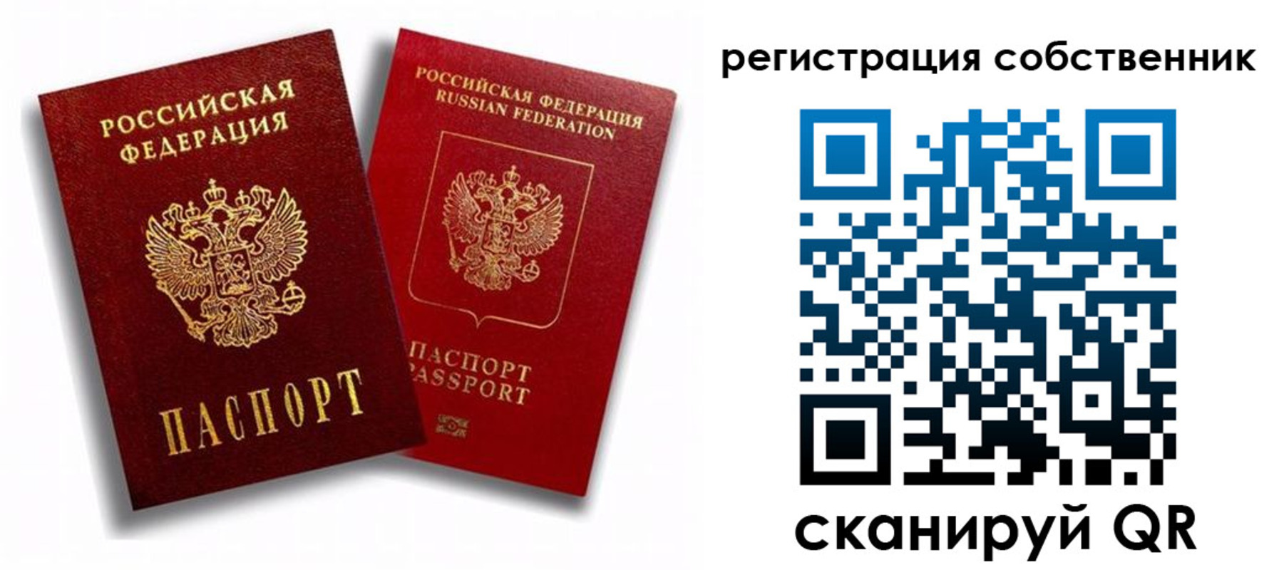 прописка штамп в Звенигово